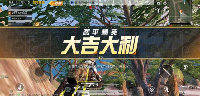 和平精英挂直装免费 - 快速启用透视锁头神器